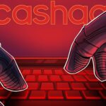 Cashaa Hack Saldırısına Uğradı